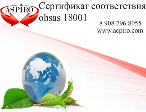  OHSAS 18001    